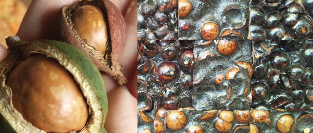 วัสดุเด่นประจำเดือนกรกฎาคม 2559 : แผ่นตกแต่งจากเปลือกแมคาเดเมีย (Green macadamia nut shell board) 