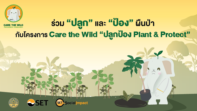 ร่วม “ปลูก” และ “ป้อง” ผืนป่า...กับโครงการ Care the Wild “ปลูกป้อง Plant & Protect”