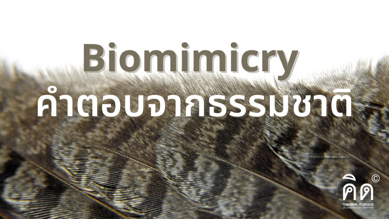 Biomimicry คำตอบจากธรรมชาติ