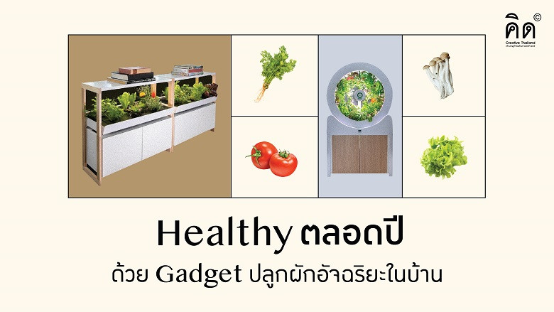 Healthy ตลอดปี ด้วย Gadget ปลูกผักอัจฉริยะในบ้าน