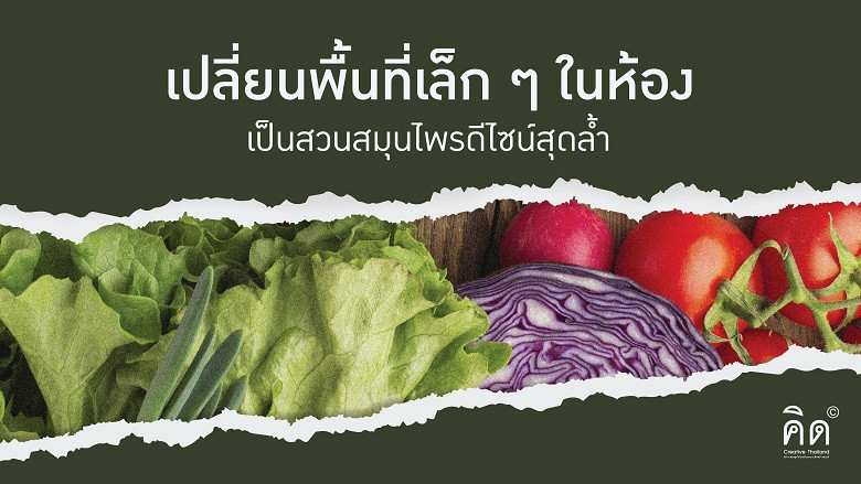 เปลี่ยนพื้นที่เล็ก ๆ ในห้องเป็นสวนสมุนไพรดีไซน์สุดล้ำ