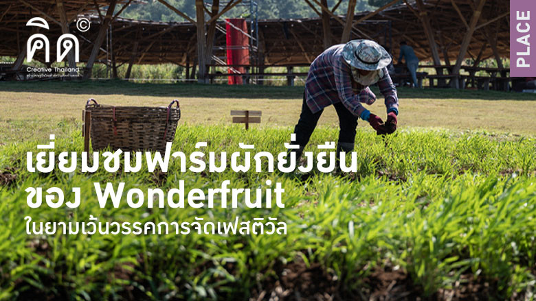 เยี่ยมชมฟาร์มผักยั่งยืนของ Wonderfruit ในยามเว้นวรรคการจัดเฟสติวัล