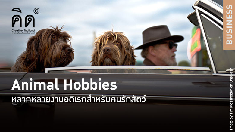 Animal Hobbies หลากหลายงานอดิเรกสำหรับคนรักสัตว์