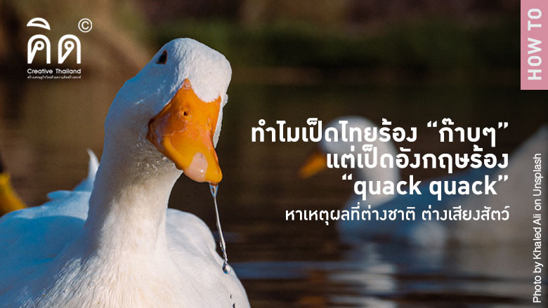 ทำไมเป็ดไทยร้อง “ก๊าบๆ “ แต่เป็ดอังกฤษร้อง “quack quack” หาเหตุผลที่ต่างชาติ ต่างเสียงสัตว์
