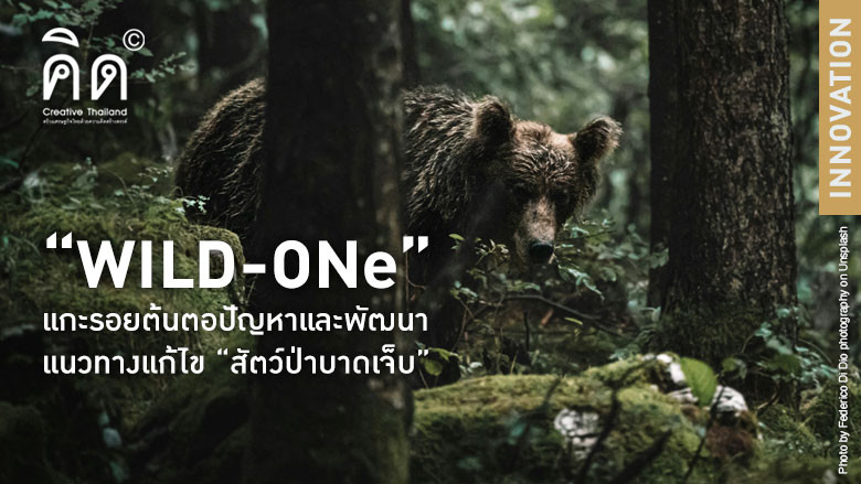 “WILD-ONe” แกะรอยต้นตอปัญหาและพัฒนาแนวทางแก้ไข “สัตว์ป่าบาดเจ็บ”