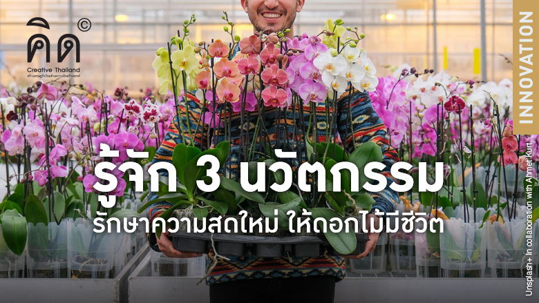 รู้จัก 3 นวัตกรรมรักษาความสดใหม่ ให้ดอกไม้มีชีวิต